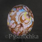 Foto 6 di 15