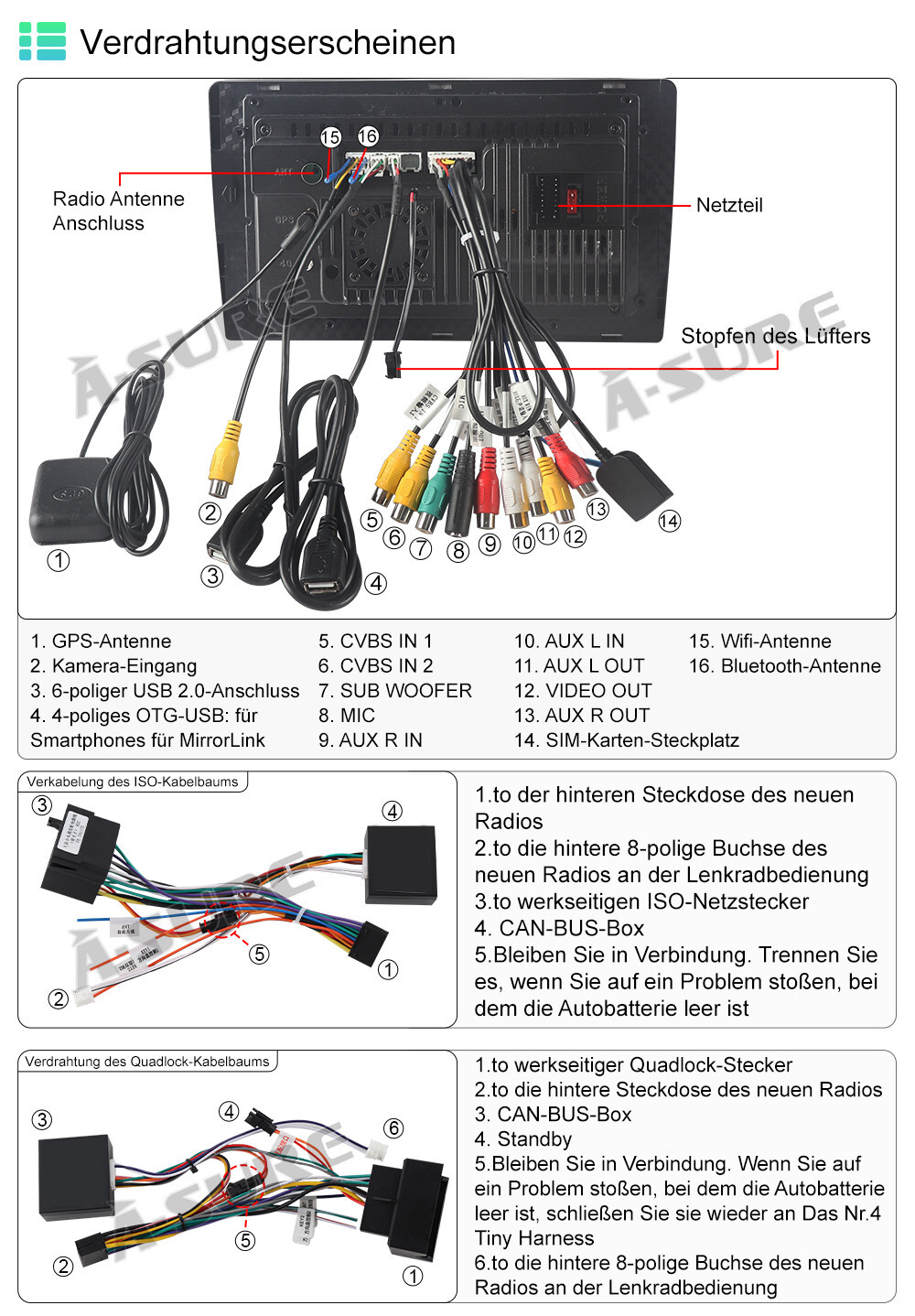 Bild 10 von 11