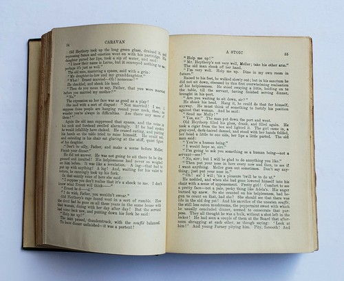 WOHNWAGEN ~ DIE ZUSAMMENGESTELLTEN GESCHICHTEN VON JOHN GALSWORTHY VINTAGE 1931 BUCH (BAND 3) - Bild 7 von 12