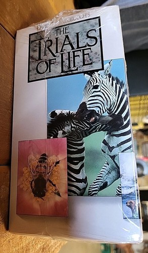 Time Life Video David Attenborough's The Trials of Life SEALED - Picture 5 of 5