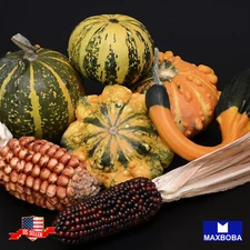 Gourds Seeds Large & Small Mix Non-GMO Heirloom