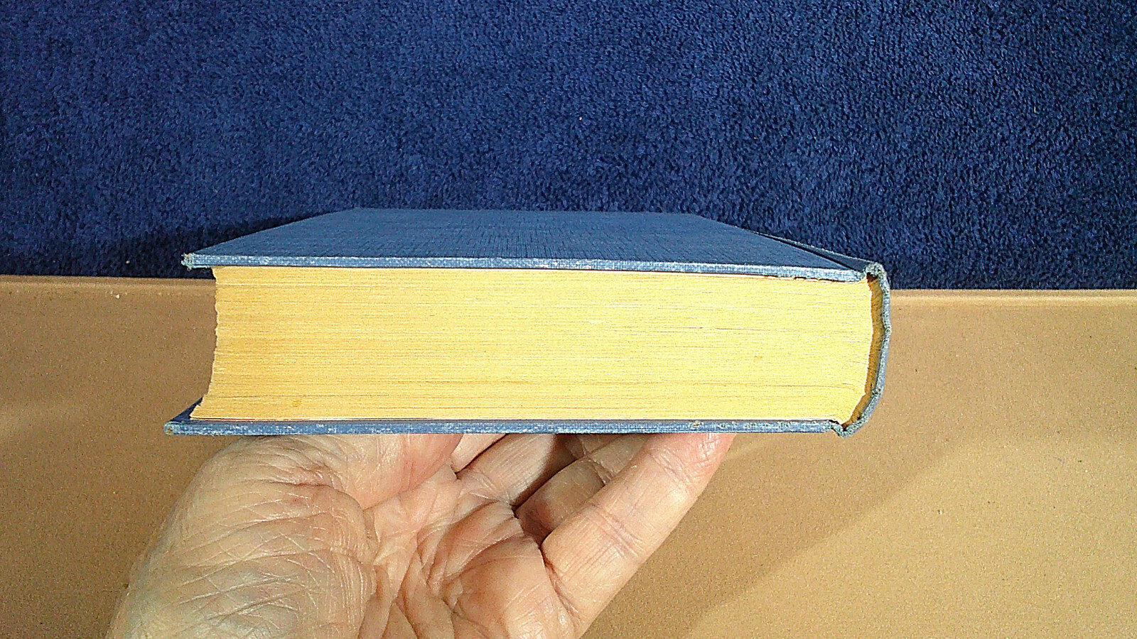 Picture 16 of 16
