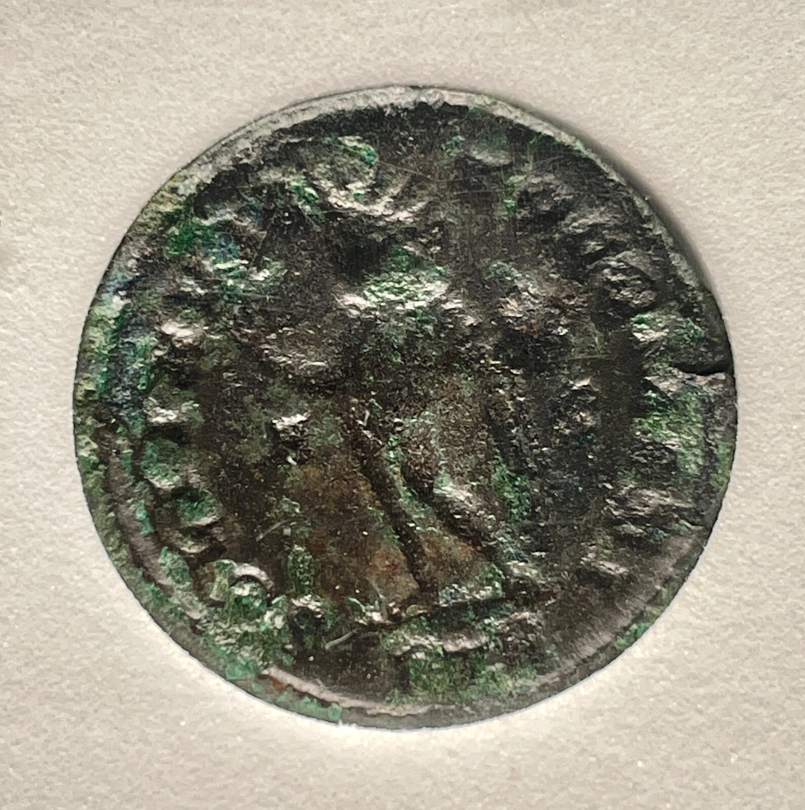 Picture 4 of 4