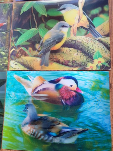 Joblot of 28 pcs 3D Art beautiful Birds picture set 30x40cm New Wholesale - Picture 5 of 9