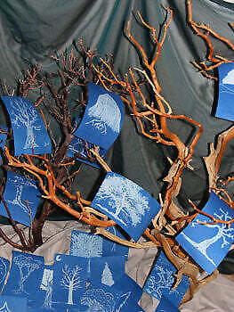 Sunprint Refill Solar Art Refill - Picture 4 of 7