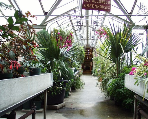 GEWÄCHSHAUSPLÄNE Gewächshaus GARTEN Hydrokultur 30 - Bild 5 von 6