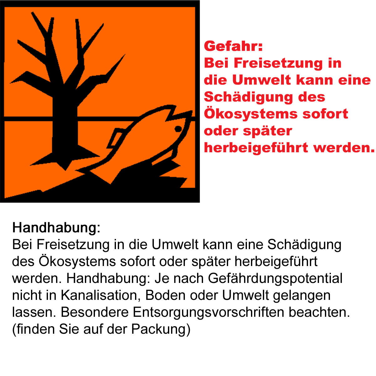 Bild 4 von 4