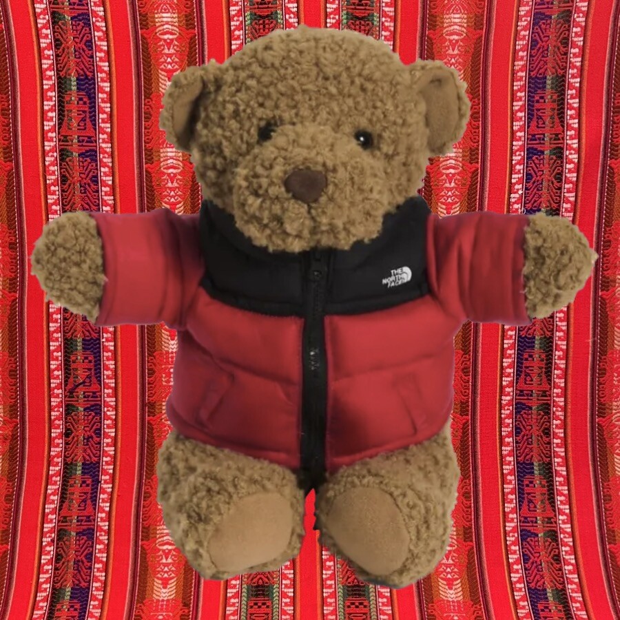 The North Face Teddy Bear Nuptse 30th Anniversary Limited The North Face Teddy Bear Nuptse 30th Anniversary Limited