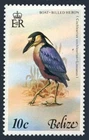 Belize 416, MNH. Michel 402. Birds 1979. Boat-billed heron.