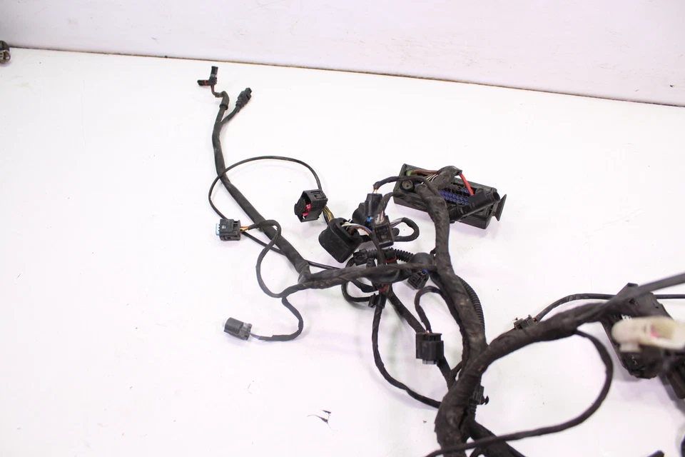 2013 BMW K1600 GT ГЛАВНЫЙ ЖГУТ ПРОВОДОВ / ПРОВОДКА - Изображение 2 из 4