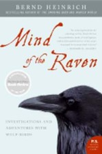 Mind of the Raven: Investigations and Adventures with Wolf-Birds by Heinrich