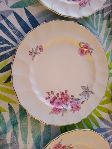 Old Chelsea Johnson Bros fiore rosa floreale scegli il tuo articolo Rose Cherry Blossom - Foto 40 di 65
