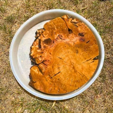 Live Edge Olive Wood for Crafters and Resin Table Makers