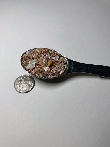 1 Tablespoon MICRO MINI TINY REAL SEASHELLS for crafts & valentines, lot #1 - Picture 2 of 7