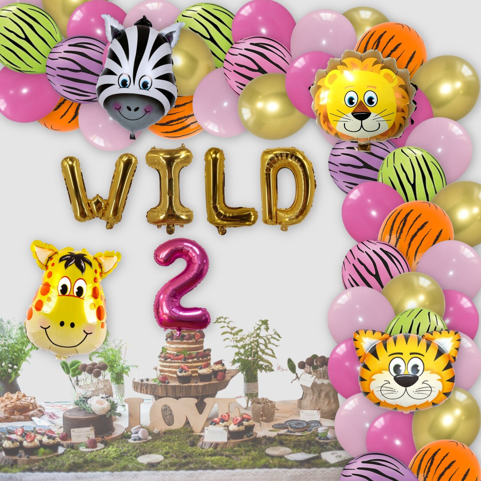 Foto 7 di 42