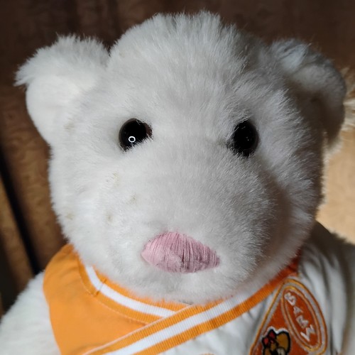 Costruisci un orso officina orso cheerleader arancione bianco peluche completo scarpe -C - Foto 11 di 23