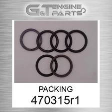 470315R1 PACKING fits CASE NEW HOLLAND (Surplus Open Box)