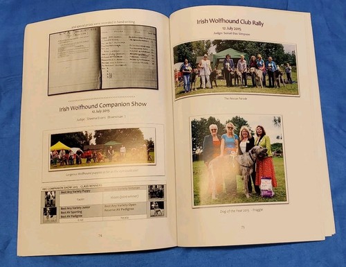 40X THE IRISH WOLFHOUND MAGAZIN SHOW ERGEBNISSE ARTIKEL HUNDEBESITZER ANZEIGEN KONVOLUT - Bild 9 von 10