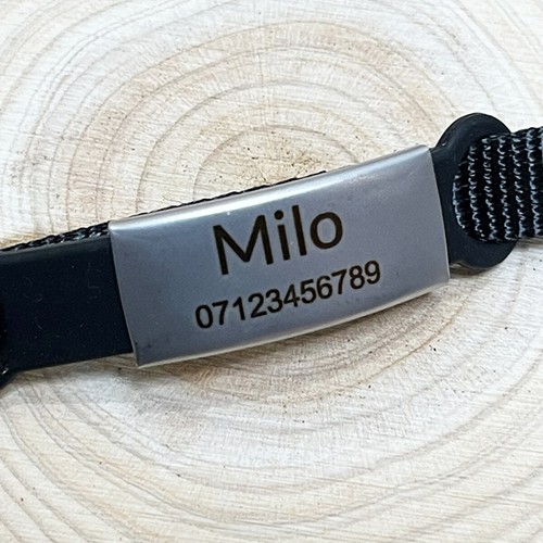 Katzenhalsband personalisiert graviert Namensschild Ausweis reflektierende Glocke Freigabe Abbrecher - Bild 5 von 19