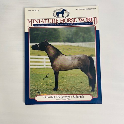 Miniature Horse World Magazine Bundle American Horse Assoc Equine Vol13 4-6 1997 - Picture 7 of 19