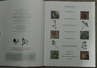 Picture 2 of 4