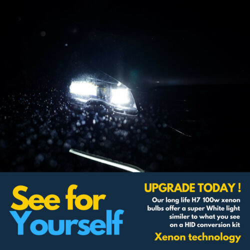 For VW Golf MK4 Hid Headlight 1997-03 Low Beam Xenon White Led Side light Bulbs - Picture 3 of 12