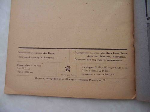 URSS 1933 epoca STALIN, città di VORONEZH. RARA rivista sovietica LENIN WAY. Propaganda. - Foto 11 di 12