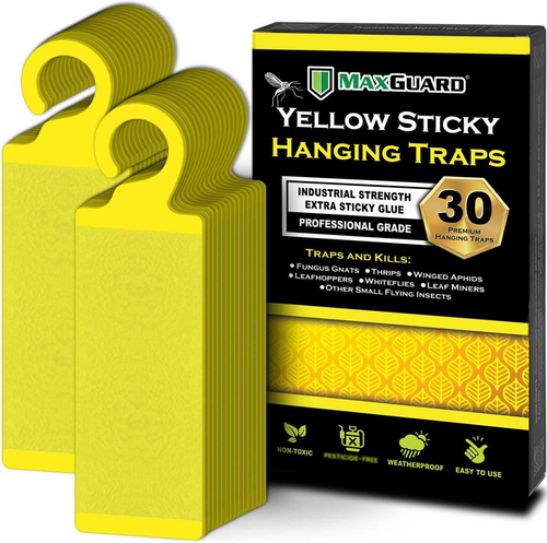 Yellow Sticky Hanging Traps - 30 Pack for Flying Insect Catching - Picture 9 of 12