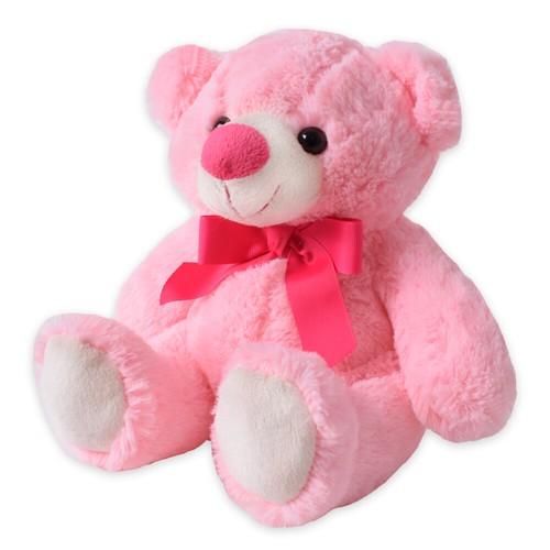 Teddybär Teddy Bär Kuscheltier Namen Geburtsdatum Personalisiert 24 cm Rosa - Bild 2 von 7