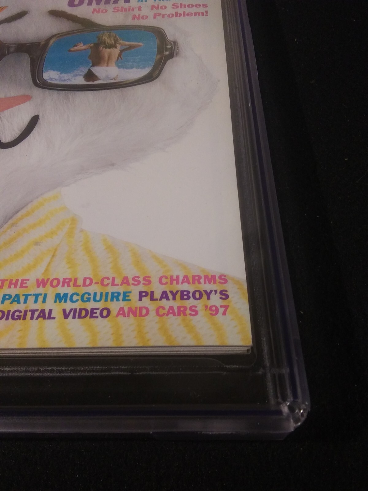 Picture 3 of 13
