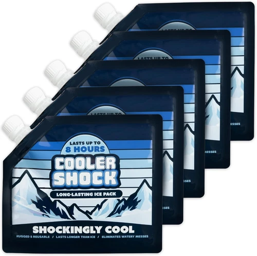 Cooler Shock Reusable Ice Packs for - Lunch Box Size 5-Pack, Silver 
