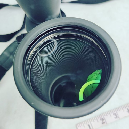 Celestron Skymaster 8x56 Waterproof Field BAK-4 72022 Binoculars - Picture 8 of 15