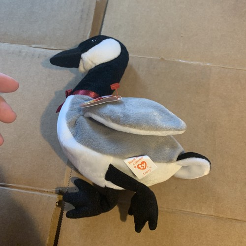 Ty * Beanie Babies ~ 'Loosy' The Goose * 1998 * w/Hang Tag - Picture 2 of 4
