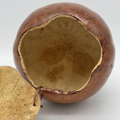 Gourd Hallow Trinket Box Carved Lid Tan Brown USA Folk Art Home Decor - Picture 4 of 6