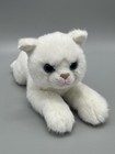Foto 1 di 11