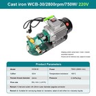Electric Sump Pumps High Flow High Viscosity Self-priming Diesel Gear Pumps