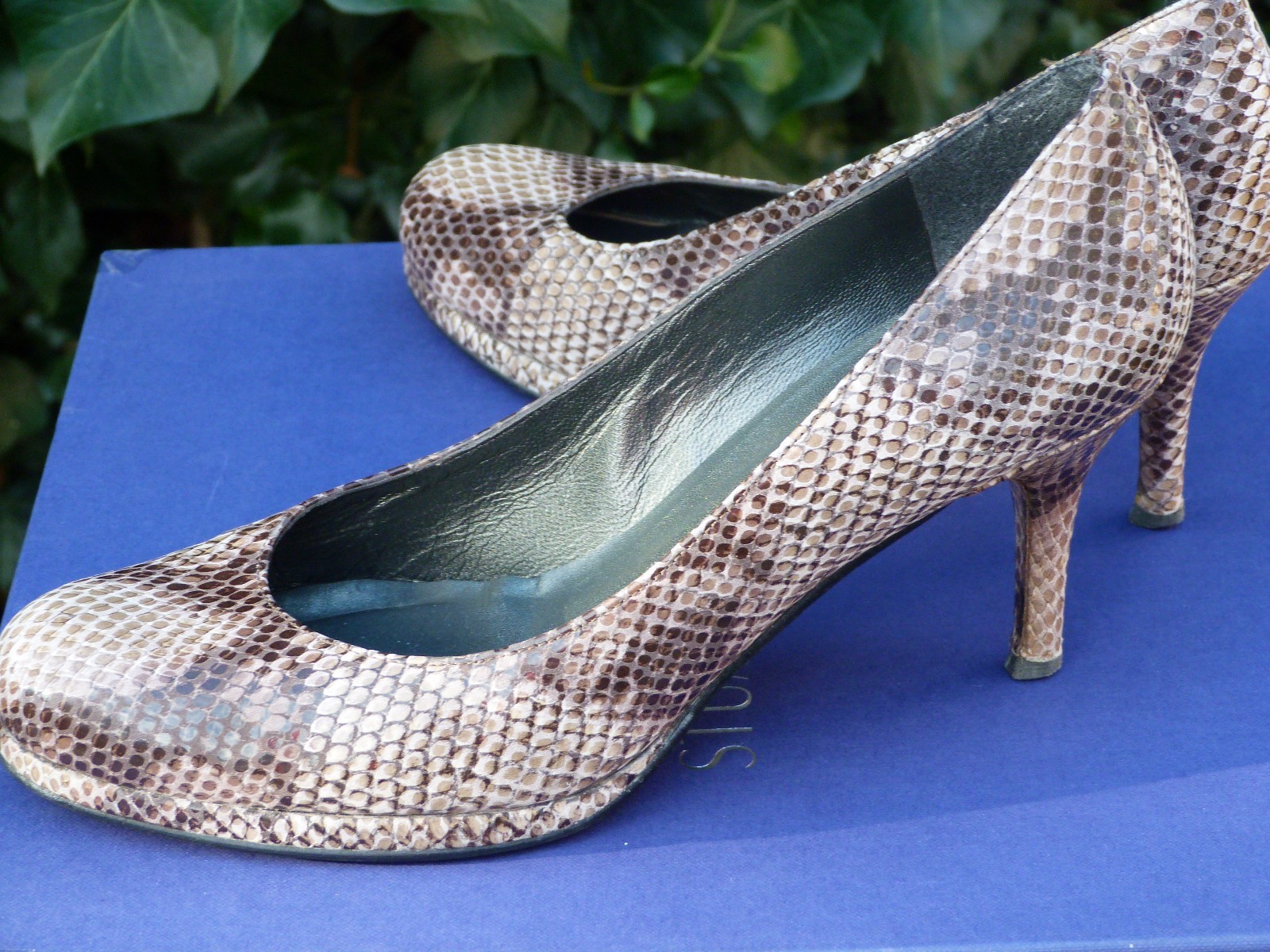 Russellbromley donna TAGLIA 5.5 38.5 38 serpente Stampa Sapatos sapozkyrrp fraue garanzia di qualità Russellbromley donna TAGLIA 5.5 38.5 38.5 38.5 38 serpente Stampa Sapatos sapozkyrrp fraue 100% nuovo di zecca con qualità originale