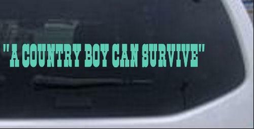 Calcomanía Pegatina A Country Boy Can Survive Texto Ventana Automóvil o Camión Ventana Laptop - Imagen 12 de 32