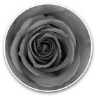 2 x Vinyl Stickers 30cm (bw) - Hot Pink Fuchsia Rose Flower #43043