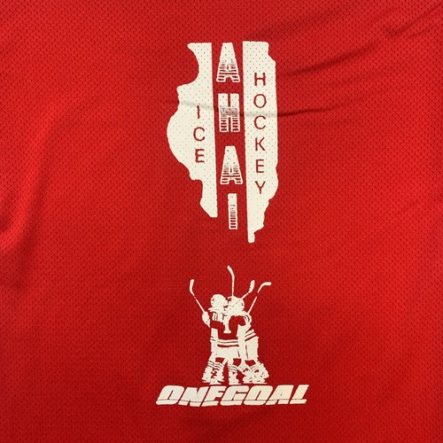 Chicago Blackhawks Illinois Amateur Hockey Jersey Boy Youth 14-16 Red Mesh Shirt - Picture 8 of 9