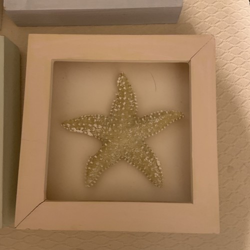 per piccole stelle marine decorative da appendere scatola ombra 3D arte da parete - Foto 5 di 11