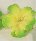 20 Green Frangipani LED Fairy light party table runner decoration Battery Power