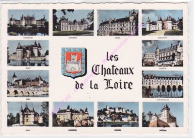 CPSM 41000 BLOIS Les Châteaux de la Loire Edt ESTEL