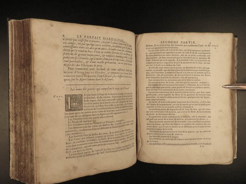 1733 Perfect Mareschal HORSES Solleysel Equestrian Medicine Cavalry Illustrated - Picture 16 of 24