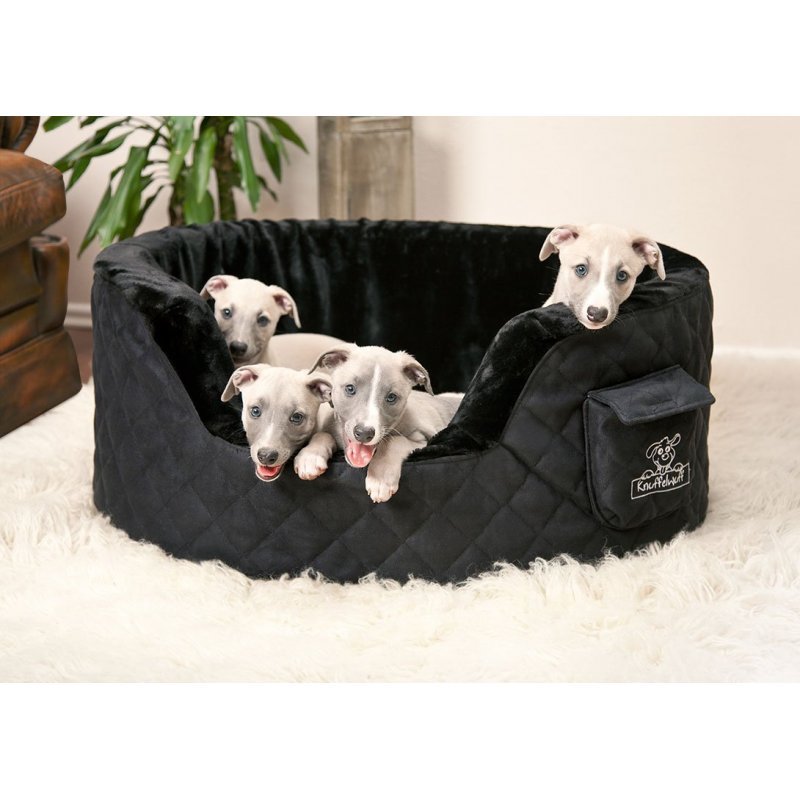 Hundebett Hundekorb Hundesofa M-XXXL SCHWARZ Velour Mikrofaser KNUFFELWUFF Hundebett Hundekorb Hundesofa M-XXXL SCHWARZ Velour Mikrofaser KNUFFELWUFF
