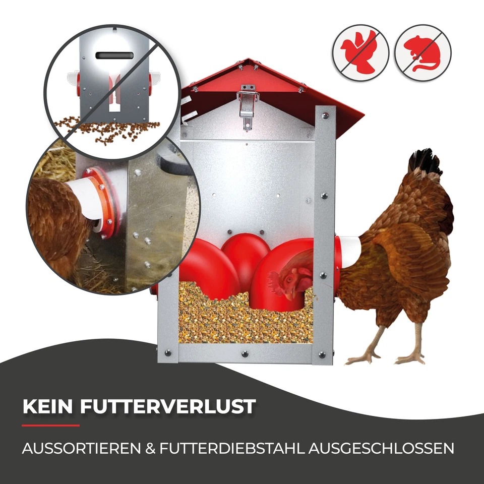 Futterautomat für Hühner - CLUCK-O-MATIC® für bis zu 20 Hühner - Bild 2 von 4