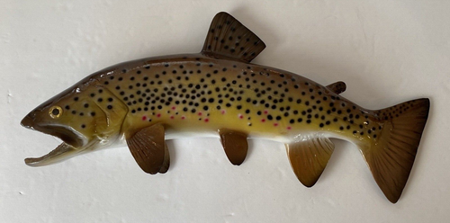 JLV Signed BROWN TROUT Wall Decor Replica 14" Very Realistic! - 第 1/22 張圖片