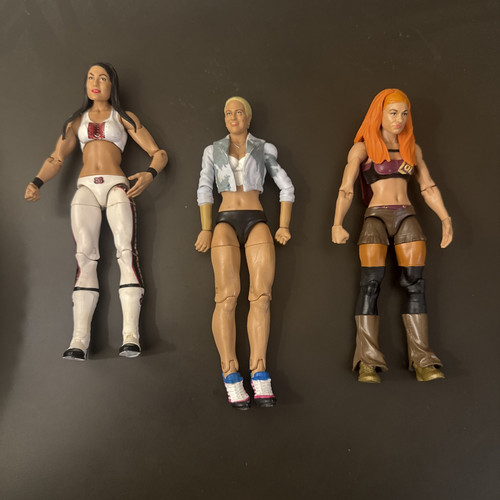 Figuras de acción de luchadoras femeninas de la WWE (X3)