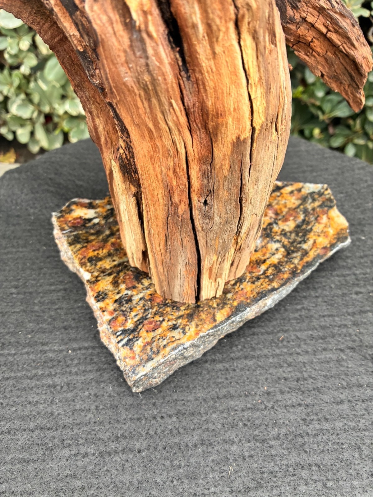 Aquarium Fish Tank Terrarium Aquascape  Manzanita Root Granite Base