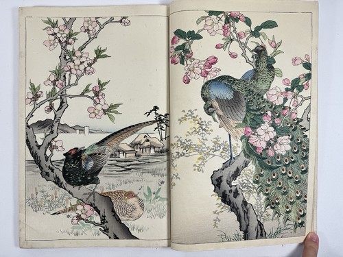 Japanese Woodblock Print Book “Bairei Kachogafu” all 2 volume Kono Bairei 1899 - Picture 5 of 24